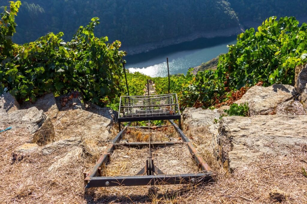 bodegas ribeira sacra